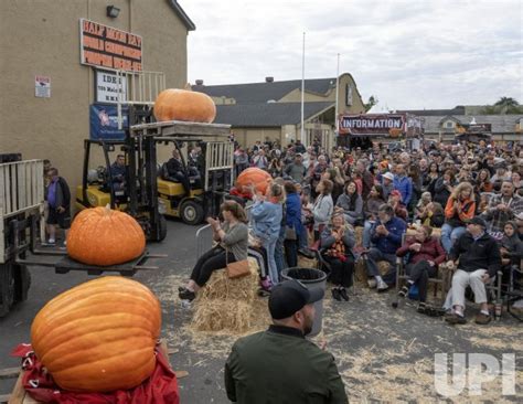 Photo World Championship Pumpkin Weigh Off In Half Moon Bay