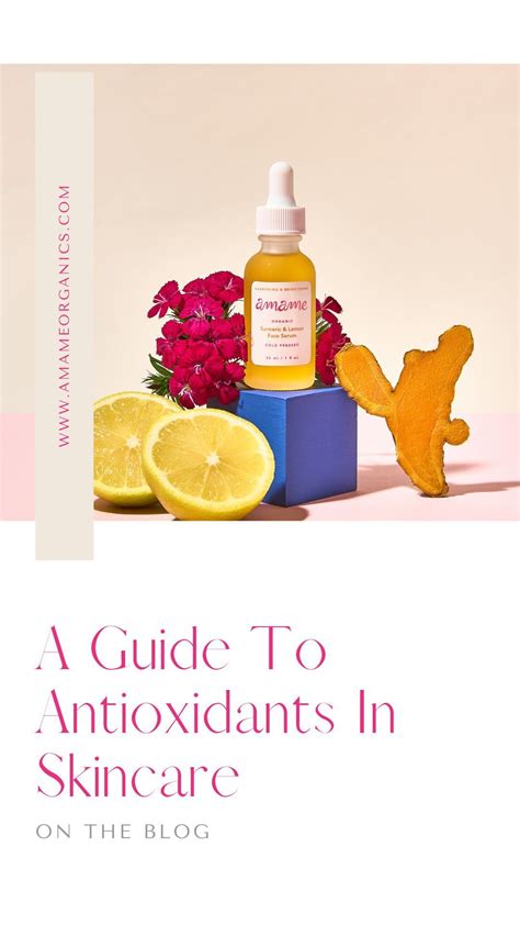 Antioxidants In Skincare What Are They How Do They Work Artofit