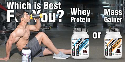 Whey Protein Vs Mass Gainer Which Is Best For You Getmymettle