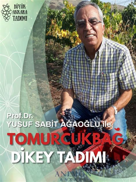 Prof Dr Yusuf Sabit A Ao Lu Le Trajan Dikey Tad M Biletinial