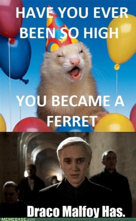 Hipster Draco, “Twitchy little ferret, aren’t you Malfoy?”