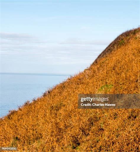 201 Ceredigion Coast Path Stock Photos, High-Res Pictures, and Images ...