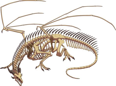 Dragon Skeleton Redux By Lordstevie1 On Deviantart