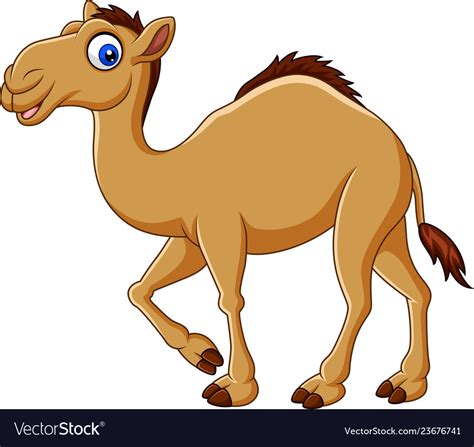 Cartoon Camel Isolated On White Background Vector Image