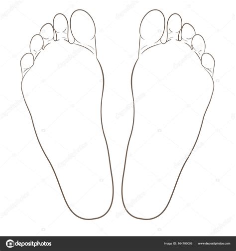 Left and right foot soles contour illustration Stock Vector Image by ©Beanika #164799008