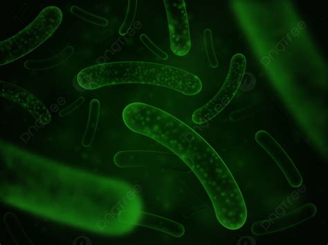 Bacteria Biological Concept Probiotic Microbiology Background