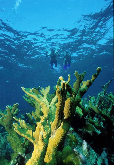 Outdoor Activities In Biscayne National Park Florida National Parks Association