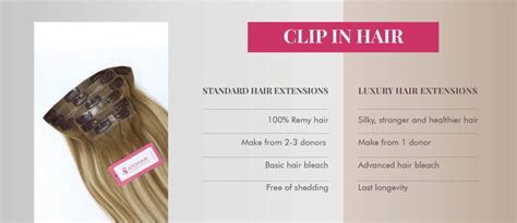 Hair Inch Chart Way To Help You Have The Right Length Apohair