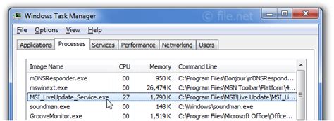 Msiliveupdateserviceexe Windows Process What Is It