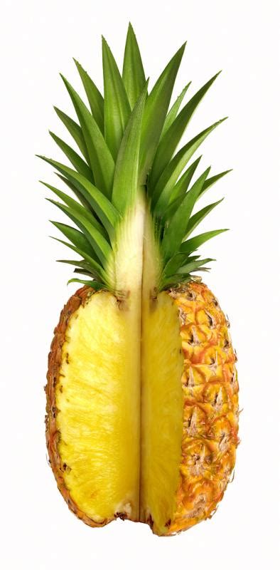 Yellow Pineapple Colors Photo 34691607 Fanpop