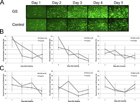 In Vitro Biocompatibility Test Using Newly Generated Stably