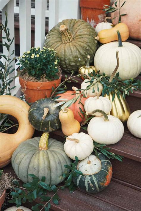 9 Incredible Pumpkin Facial Benefits For Your Skin