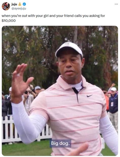Tiger Woods Big Dog Memes Go Big