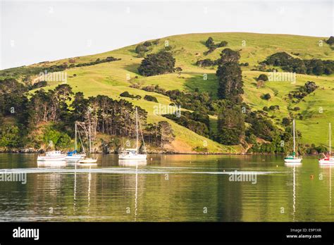 Akaroa harbour, New Zealand Stock Photo - Alamy