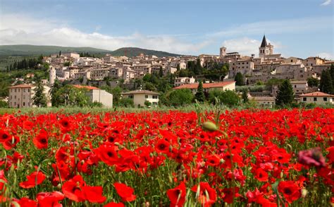 Spello Italy | NATURE OF THE WORLD