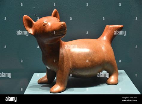 Museo De Las Culturas Oaxaca Oaxaca Mexico Stock Photo Alamy