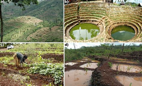 Water and soil conservation structures of Konso cultural landscapes: a ...