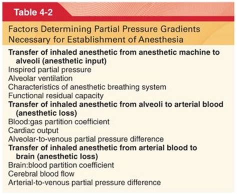 Inhaled Anesthetics Basicmedical Key