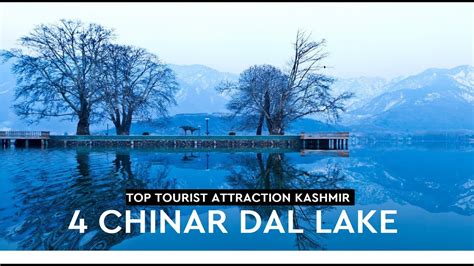 Top Tourist Attraction In Kashmir Char Chinar Dal Lake Srinagar