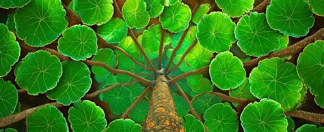 premium photo environment hd  wallpaper stock photographic image