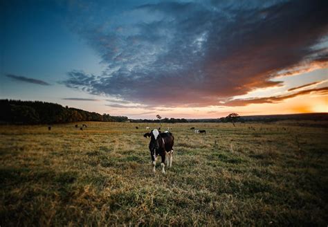 Cna E Embrapa Lan Am Plano Para Recupera O Ambiental De Propriedades