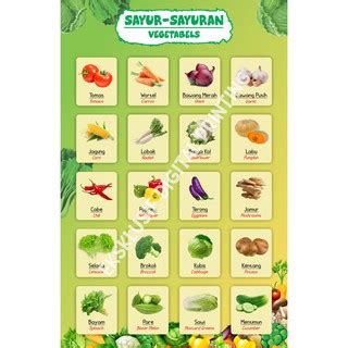 Jual Poster Anak Poster Dinding BELAJAR MENGENAL SAYUR SAYURAN