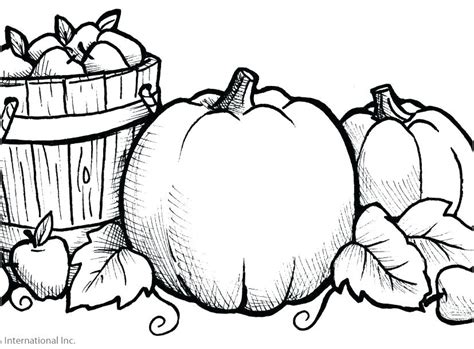 Pumpkin Patch Drawing | Free download on ClipArtMag