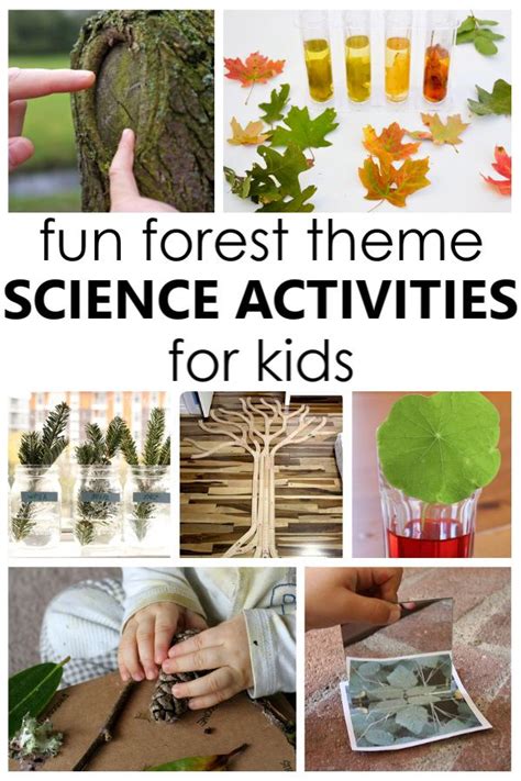 12 Fun Forest Science Activities To Help Kids Learn About Trees Artofit