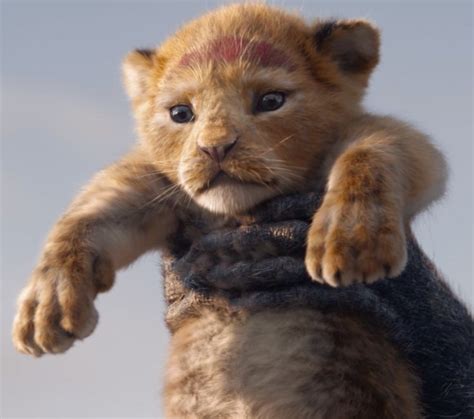 The Lion King 2019 Trailer And Release Date Disney Nl