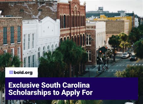 Top 30 Scholarships in South Carolina to Apply for in January 2025 ...