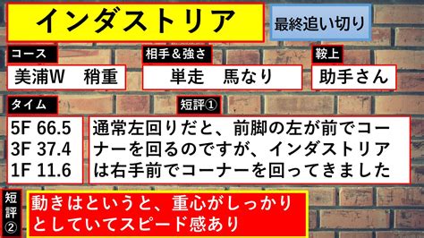 【ユニコーンステークス2022年】ジュタロウ・リメイク・ハセドン・インダストリア・コンバスチョン・セキフウの追い切り診断！｜スマイルトレンド情報