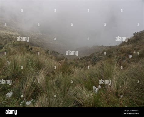 Pichincha, Ecuador - 2017: Panoramic view at the Pichincha volcano ...