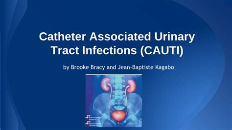 PDF Catheter Associated Urinary Tract Infections CAUTI DOKUMEN TIPS