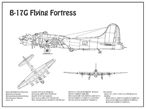 B-17 Flying Fortress - Airplane Blueprint. Drawing Plans For The Wwii Boeing B-17 Flying ...