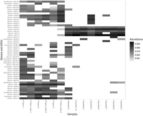 Heatmap Displaying The Relative Abundance Of The Fifty Most Abundant