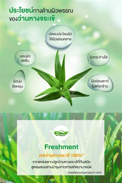 เจลว่านหางจระเข้ 100 เฟรชเม้นท์ Freshment Soothing And Moisture Aloe Gel ใช้ได้ทั้งผิวหน้า ผิว