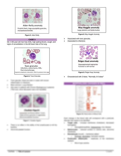 SOLUTION Clinical Pathology Abnormal Rbc Wbc Morphology Oft Esr Part 1