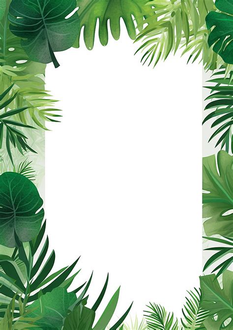 A Green And White Jungle Background With A Blank Frame Wallpaper Image ...