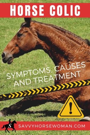 Horse colic symptoms causes and treatment – Artofit