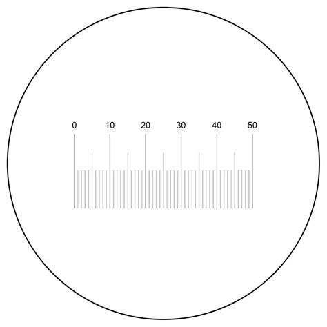 eyepiece micrometer  biological microscope ocul grandado