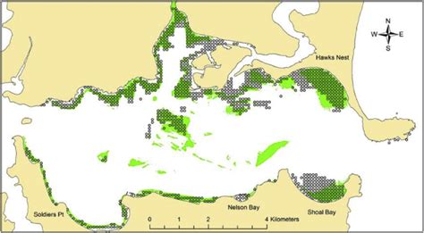 Distribution Of Seagrass In Port Stephens From Aerial Photography