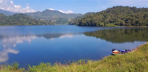 cute nature wallpaper 3