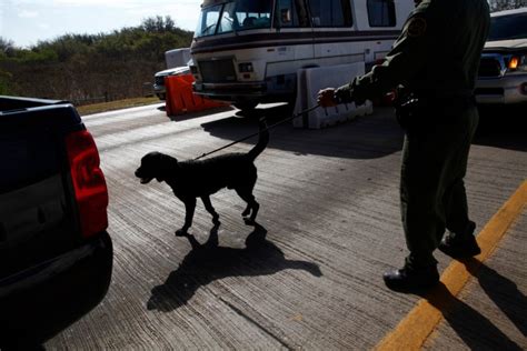 Photos of migrants making the treacherous journey into the United ...