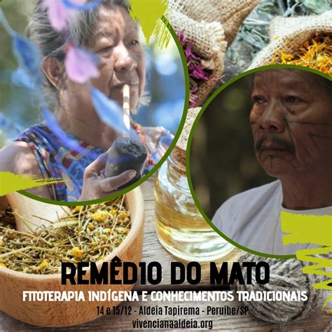 Remédio do Mato Fitoterapia Indígena e Conhecimentos Tradicionais