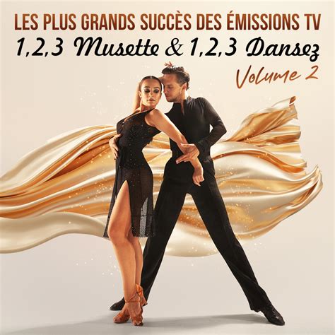 Cd Les Plus Grands Succ S Des Missions Musette Et Dansez Vol