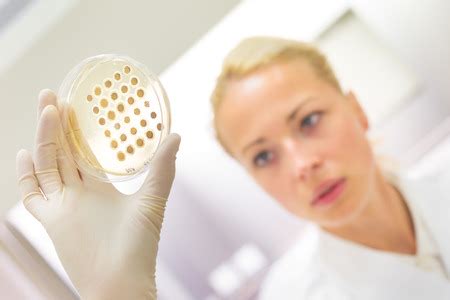 Female Life Science Professional Observing Cell Culture Samples On LB