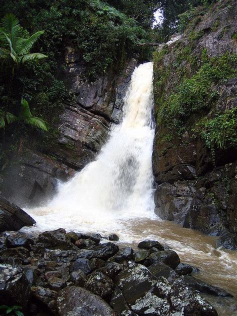 Cascada La Mina Caribbean National Forest El Yunque Recreation Area