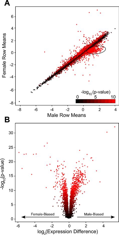 Figure From Sex Specific Gene Expression In The Bxd Mouse Liver