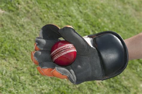 Wicket keeper Stock Photos, Royalty Free Wicket keeper Images ...