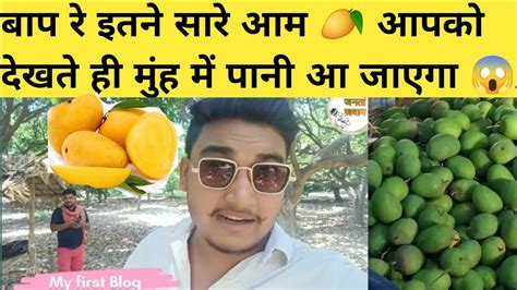 बाप रे इतने सारे आम 🥭 आपको देखते ही मुंह में पानी आ जाएगा 😱 कौन कौन से